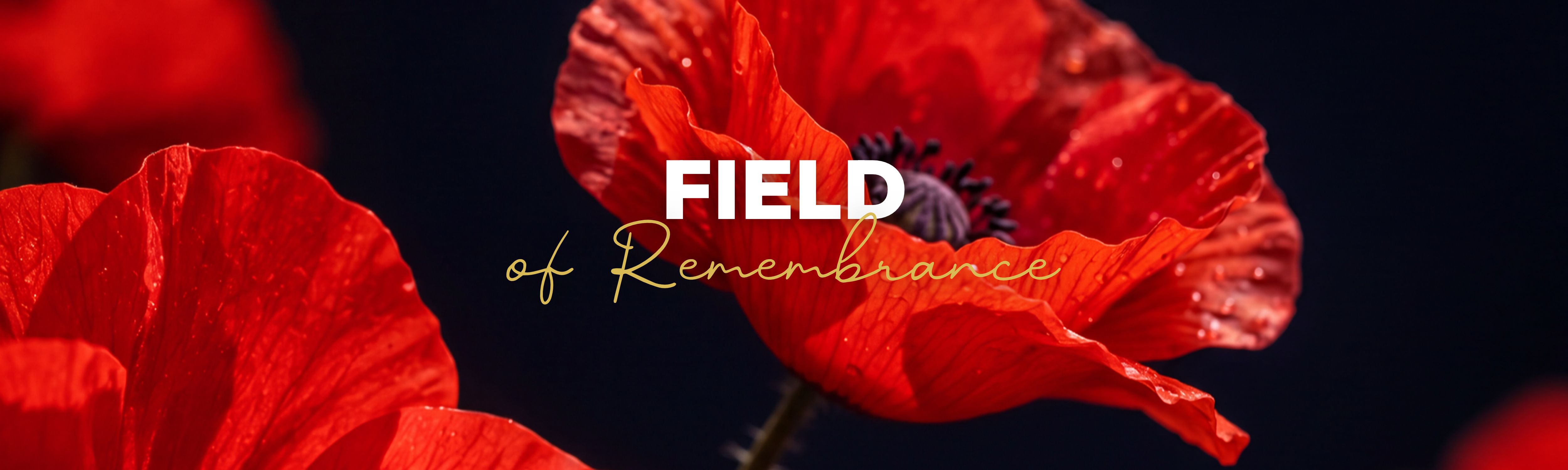 Field of Remembrance